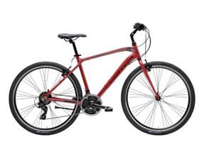 ADRIATICA BICI BOXTER HP MAN 21V '24