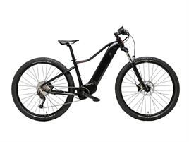 ADRIATICA BICI E-BIKE RAYON 29 '24